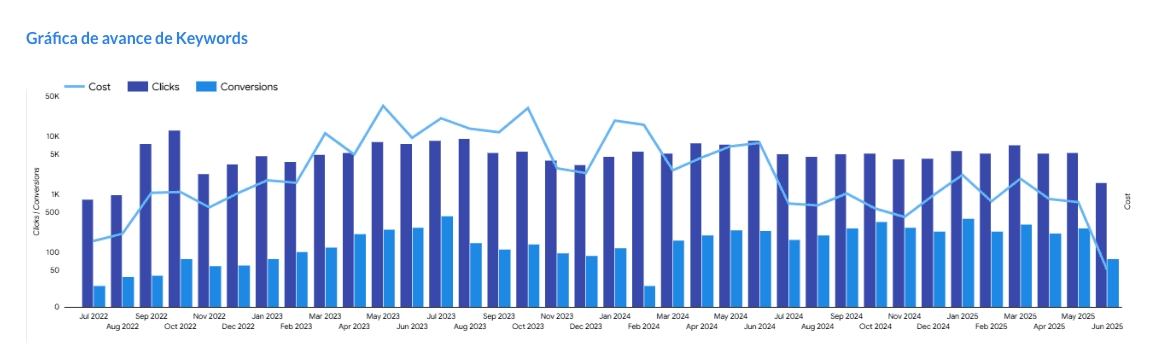 Optimización del presupuesto mensual en campañas de Google Ads