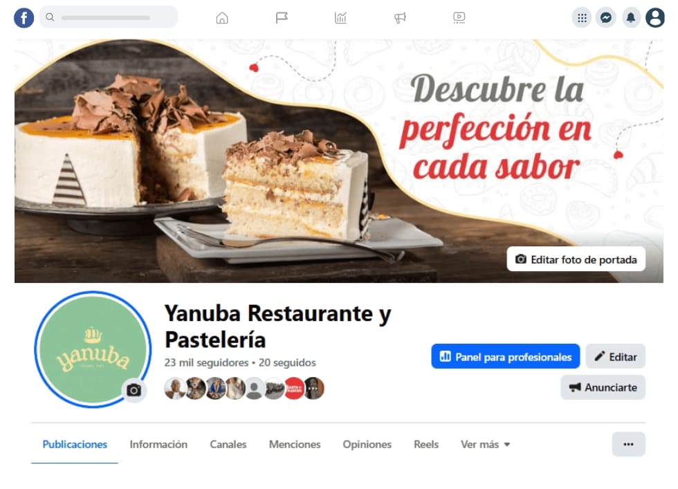 Segmentación de audiencias en campañas de publicidad digital para Yanuba